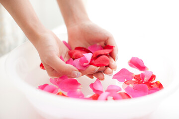 Obraz na płótnie Canvas 水に浮かべたバラの花びらをすくう女性の手