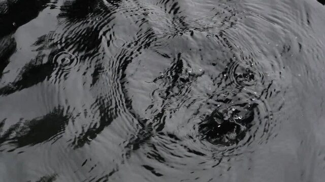 water drops falling, the heavy rain in wet season, water splashing, Overflow tank