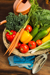 A vegtable assortment of fresh from the garden, ready for cooking with gardening tools
