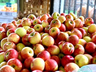 Apples