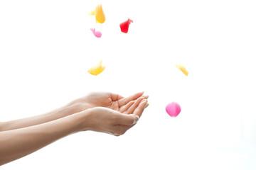 バラの花びらを持つ女性の手