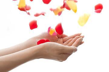 バラの花びらを持つ女性の手