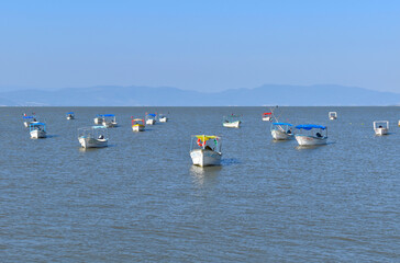 Fototapeta na wymiar Image of A group of boats on Chapala Lake
