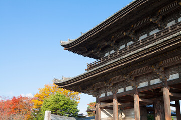 Fototapeta premium 京都の寺院