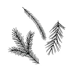 Fir-tree branches. Elements for Christmas design. Black and white vector contour drawing.