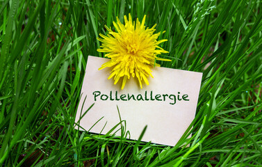 Pollenallergie