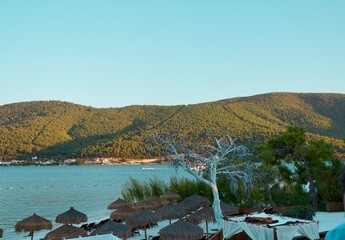 Beautiful panoramic landscape on the emerald bay of the Aegean Sea with green hills, eucalyptus, snow-white yachts. Luxury relax tourism conception, Lujo hotel Bodrum