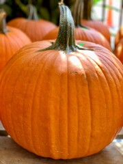 pumpkin