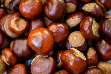 Shiny chestnuts inedible in detail on each other.