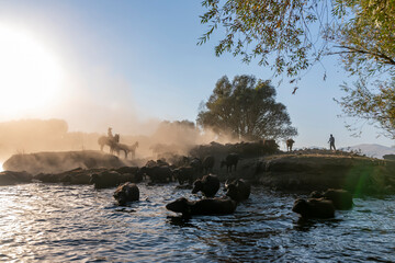 Fototapety na wymiar - Fototapeta24.pl