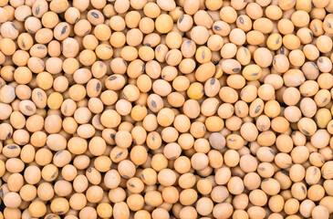 Top view Soybean pattern as for background