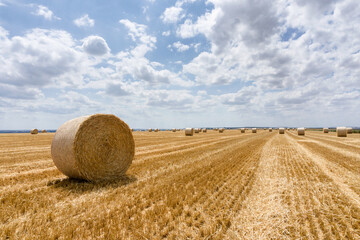 Straw bales stacked in a field at summer time, Reims , France