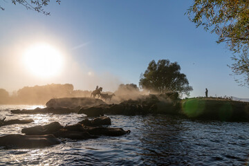 Fototapety na wymiar - Fototapeta24.pl