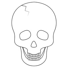 Human skull. Sketch. Crack in the forehead. Vector illustration. Bone frame of the head. Outlined on an isolated background. Halloween symbol. An integral part of the skeleton. Jaw with straight teeth