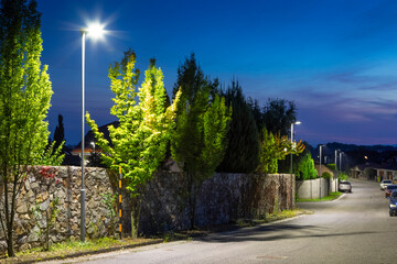 street lamp in front of a fence with rich greenery