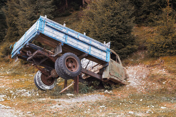 Truck whose cabin has grown into the ground. Wooden broken body and rusty iron of an old car.