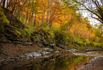 Autumn view or rocky ravine lined with trees backlit by setting sun; stream at the bottom of the ravine