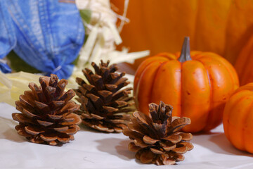 白背景で秋の収穫祭