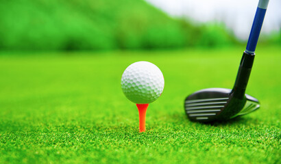 Golf course green and golf ball close in the grass field.
