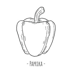 Paprika. Isolated object on a white background. Hand-drawn style.