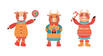 Obraz na płótnie Canvas Set of cartoon funny baby bulls. Mascot of the new year 2021. Cute animal character in winter clothes with gift and sweets. Cow, Buffalo, calf, ox at a new year party. Happy Christmas illustration.