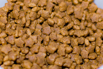 Pet food sample close up shot