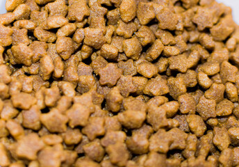 Pet food sample close up shot