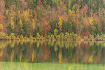 brown yellow green reflection in a mountain lake