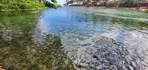 Rio los Patos RD.