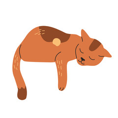Sleeping orange cat, lazy kitty hand drawn vector illustration in cartoon flat style, isolated on white background.