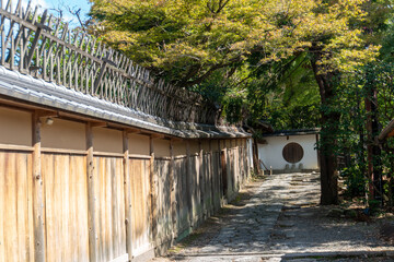 京都　ねねの道