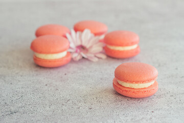 Macaroons. Delicious french desserts. Macaroons on the table. Macaroons with flower