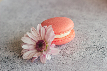 Macaroon. Delicious french desserts. Macaroon on the table. Macaroon with flower
