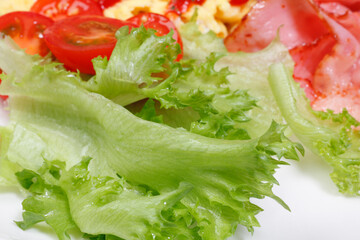野菜サラダのレタス