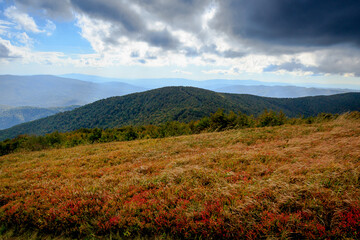 Bieszczady