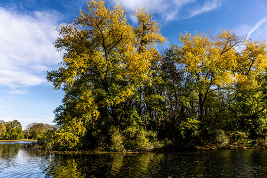 A pond in Germany called Kalscheurer Weiher at a sunny day in autumn.  