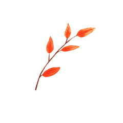 Watercolor hand-drawn autumn orange branch with leaves isolated on white background. Art creative nature object illustration