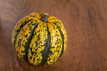 Colored beautiful pumpkin lies on a wooden background
