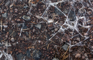 The texture of the stones under the ice