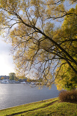 Autumn landscape with the trees and the river, with cityscape and yachts on background.