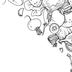 Vegetables. Fresh food. Beets, radishes, carrots, onions, garlic, potatoes line drawn on a white background. Vector illustration.