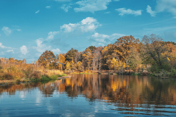 Trees on the banks of a beautiful autumn river.