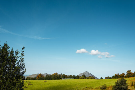 Wild horses grazing grass in autumn day in Ponga Valley. Autum landscape and cattle in Picos de Europa,Spain. Fall, Landscape, Rural, Mountain.