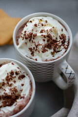 Cup of Hot chocolate with whipped cream. Gingerbread. Still life. Copy space. Winter drinks.