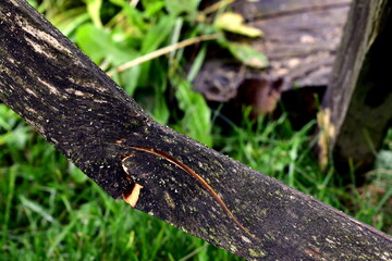 Fototapeta premium broken wooden board on grass background