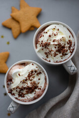 Cup of Hot chocolate with whipped cream on gray background. Gingerbread. Still life. Copy space. Winter drinks.