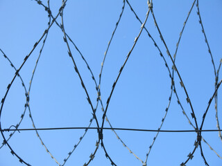 barbed wire against a clear blue sky, like a prison