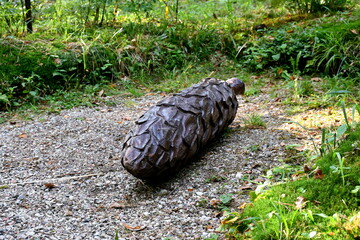Close up on a wooden toy resembling a nut or a seed of a deciduous tree laying on a dirt path in the middle of a forest surrounded with grass, moss, and leaves spotted in a public park in summer