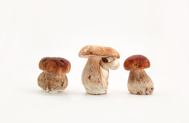Beautiful fresh porcini mushrooms  on white background isolated season healthy food 