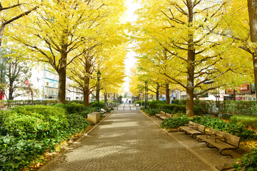 浜町公園遊歩道